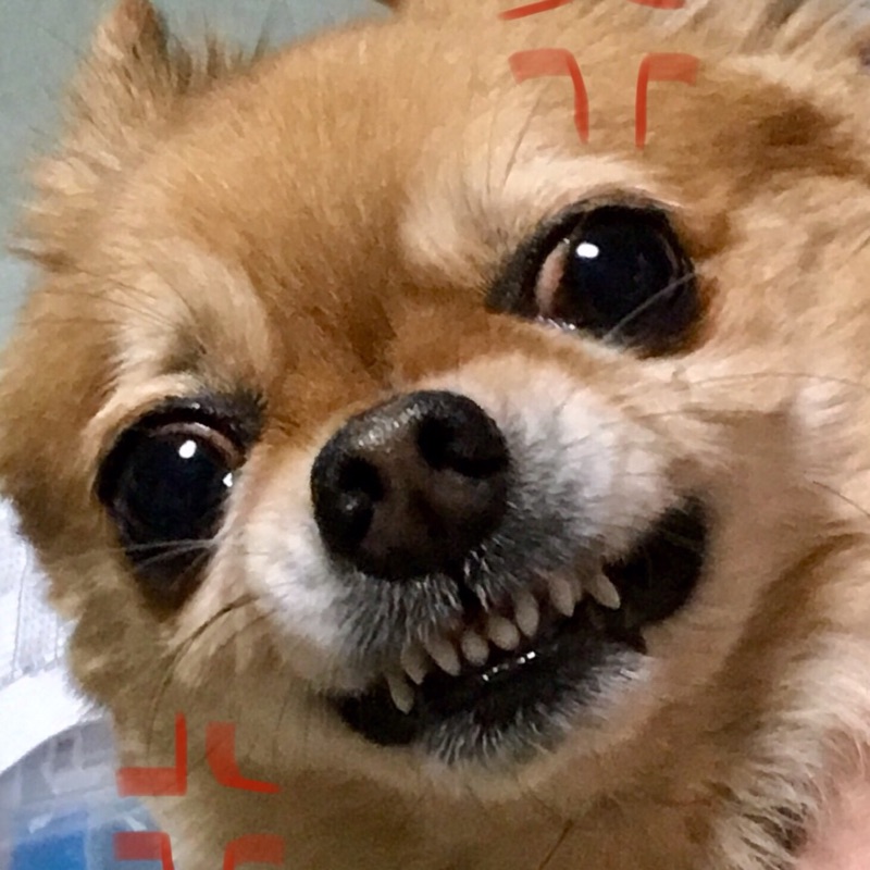 津村
