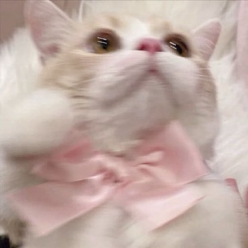 ごろう