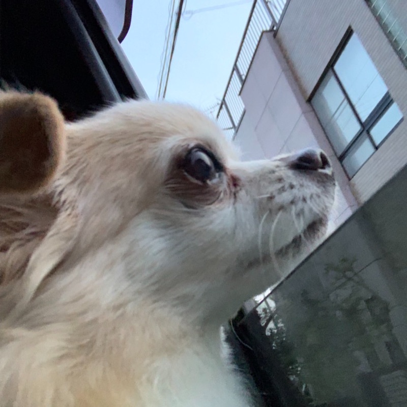 Ｍりん
