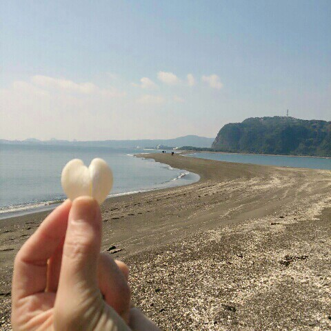 関根和子