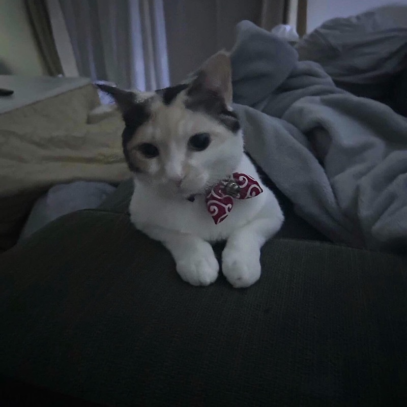 なな
