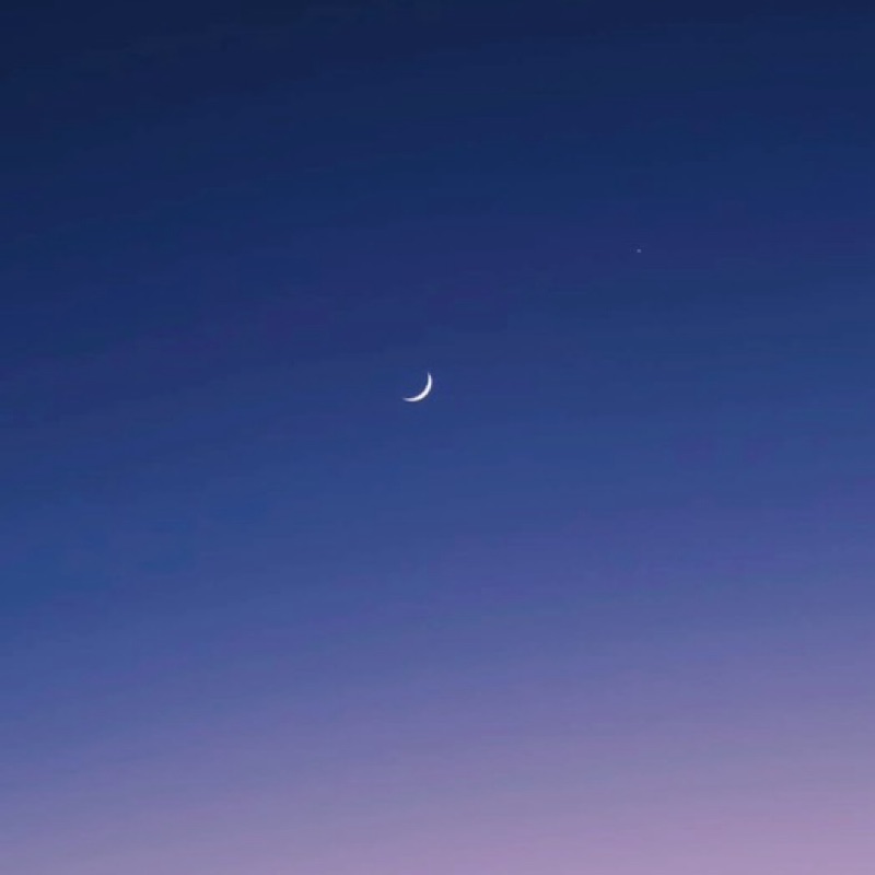 杉田　静子
