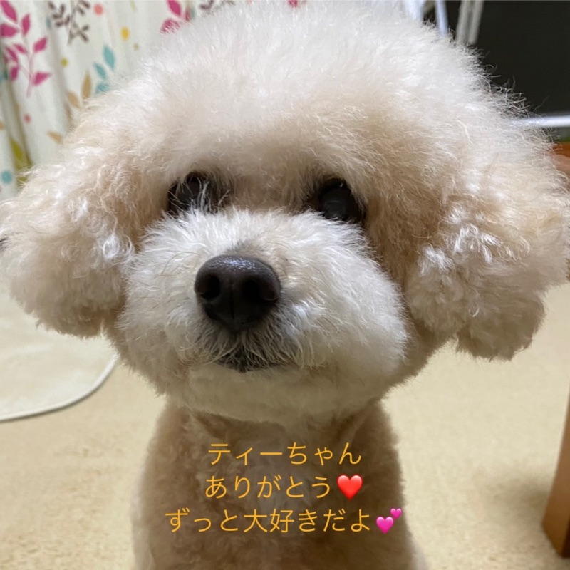 まなみ