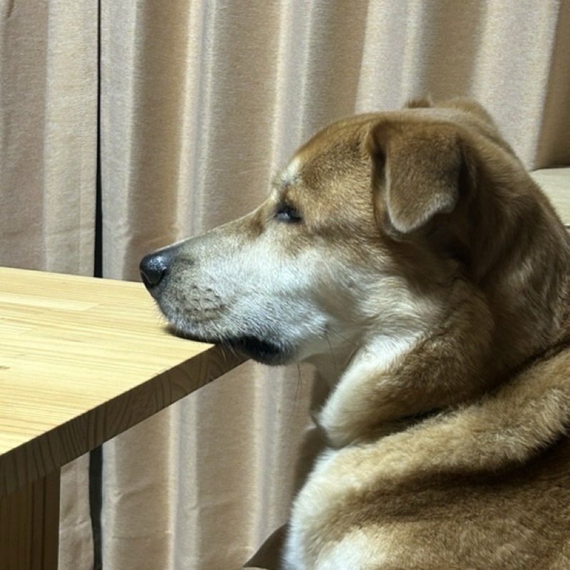 木村いずみ