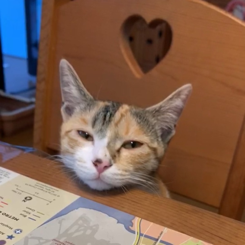 あみ