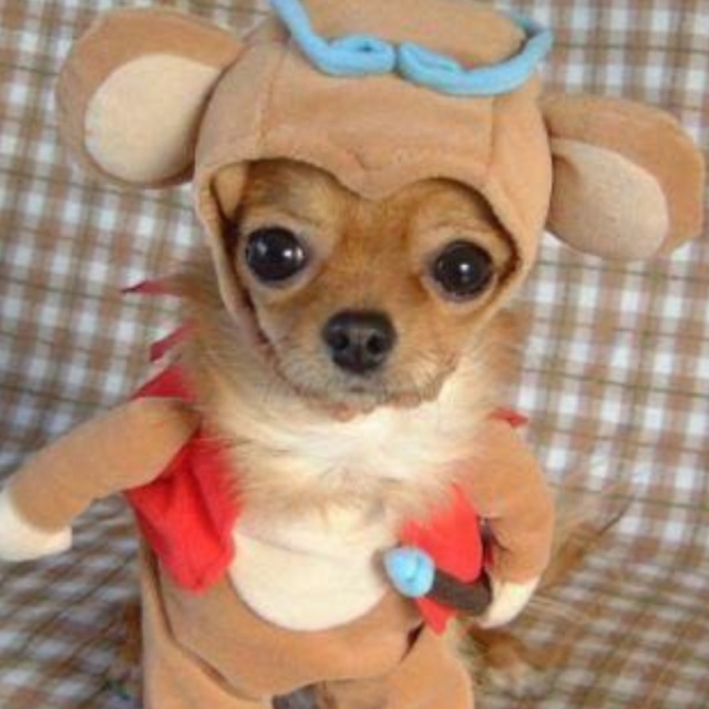 ho-n