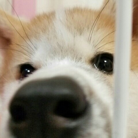 山口
