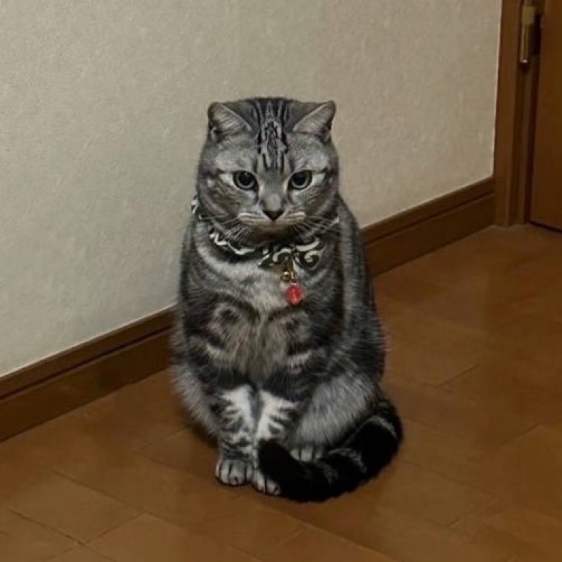 あき