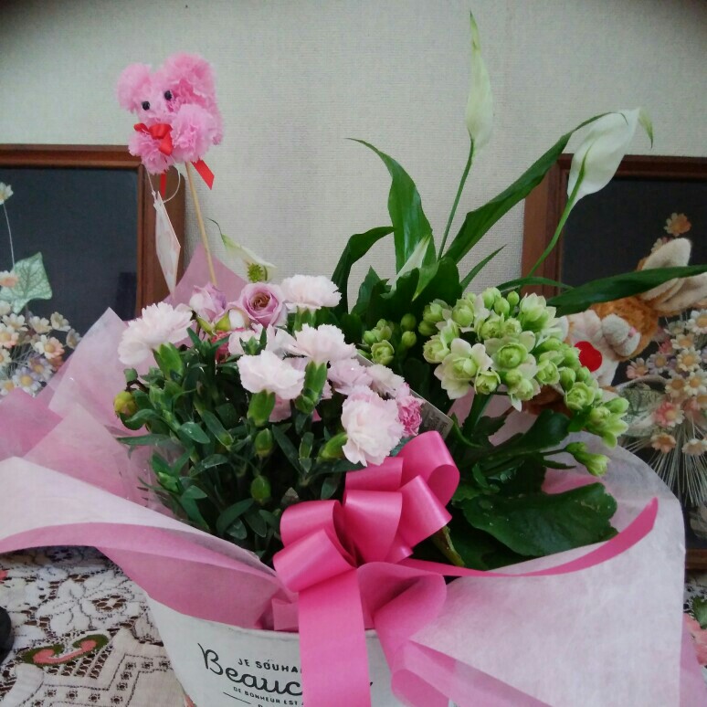 青木京子