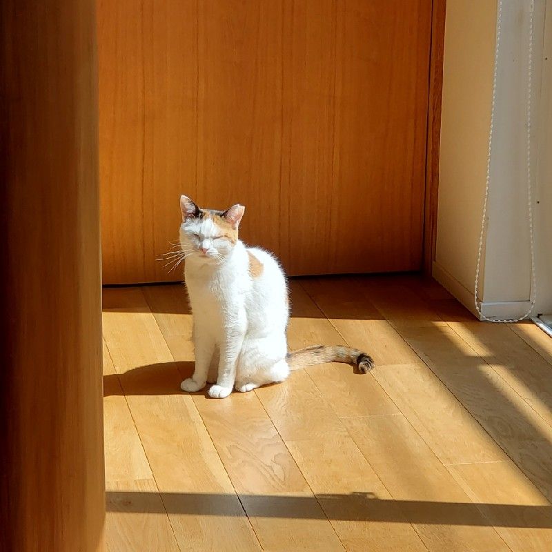 きよみ