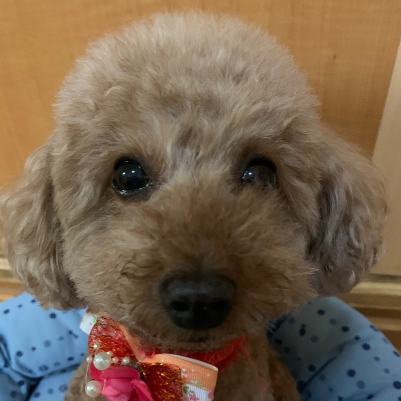 守田