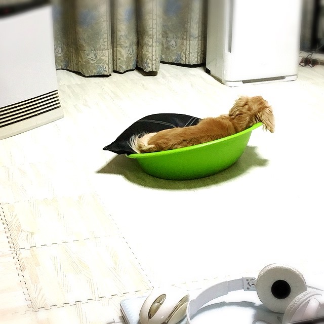 伊澤卓晃