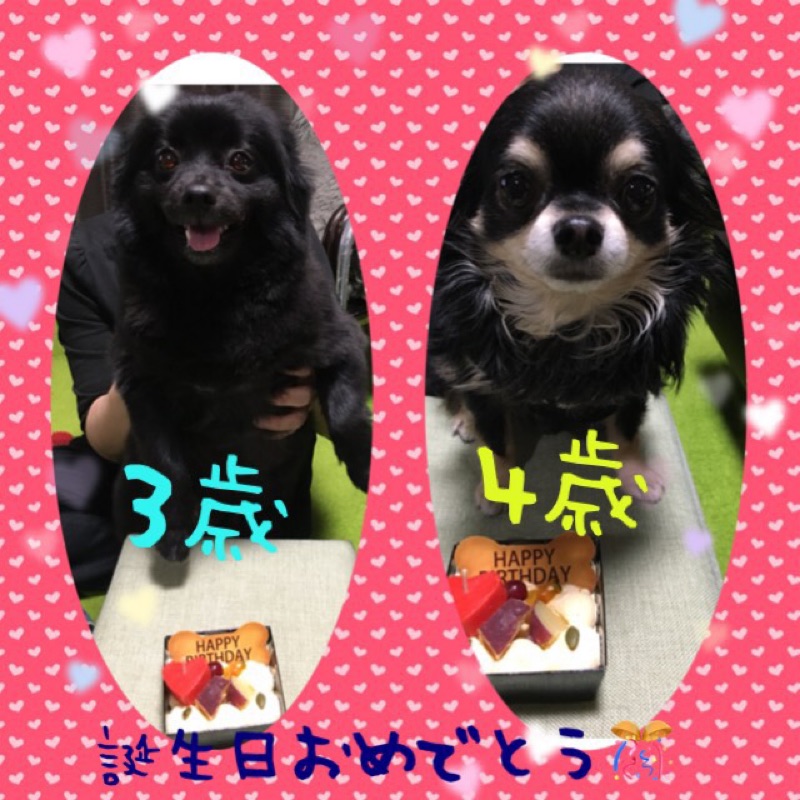 しのはら