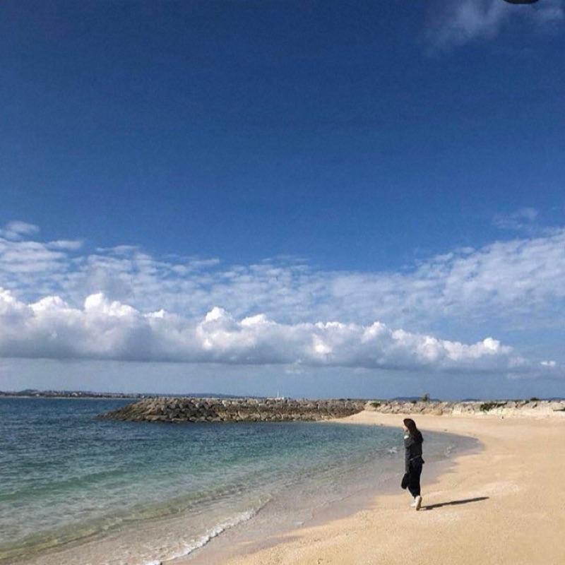 三浦　茜子