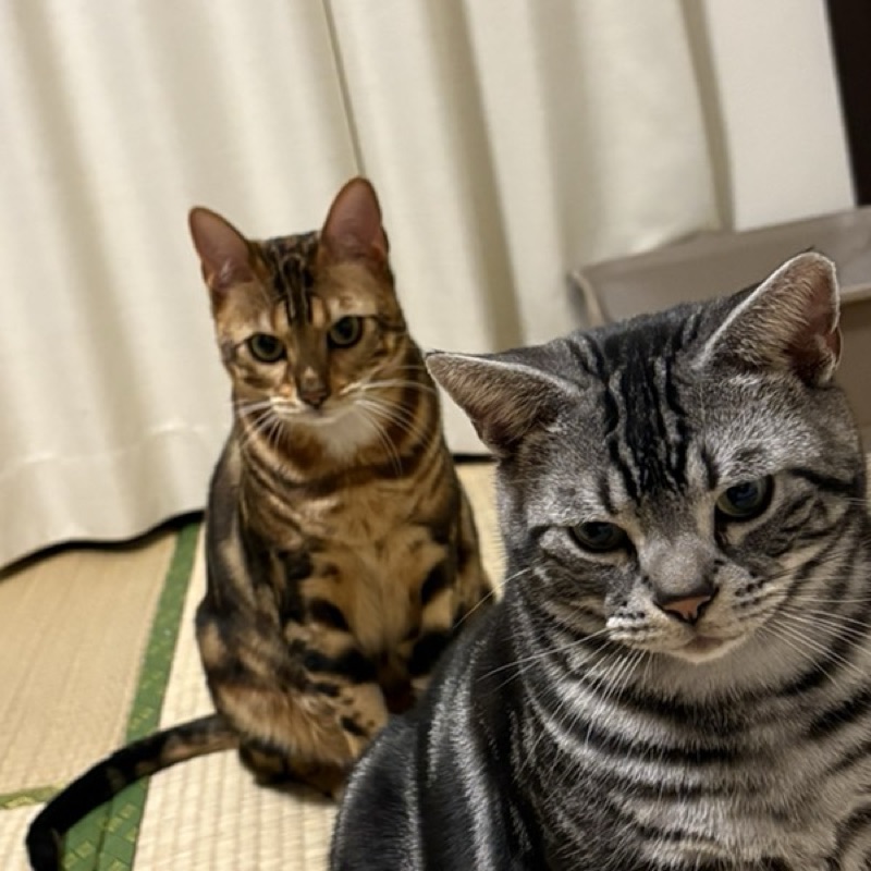 柳　未来人