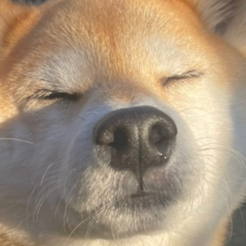 そーた