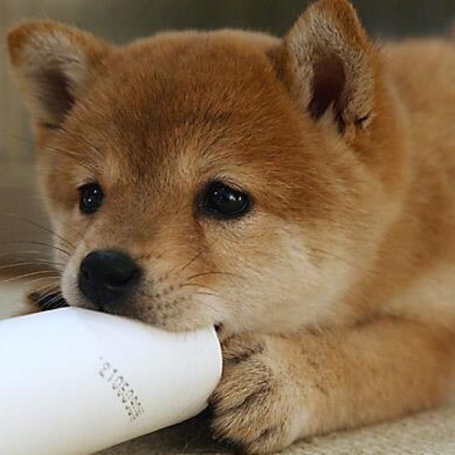 やみ