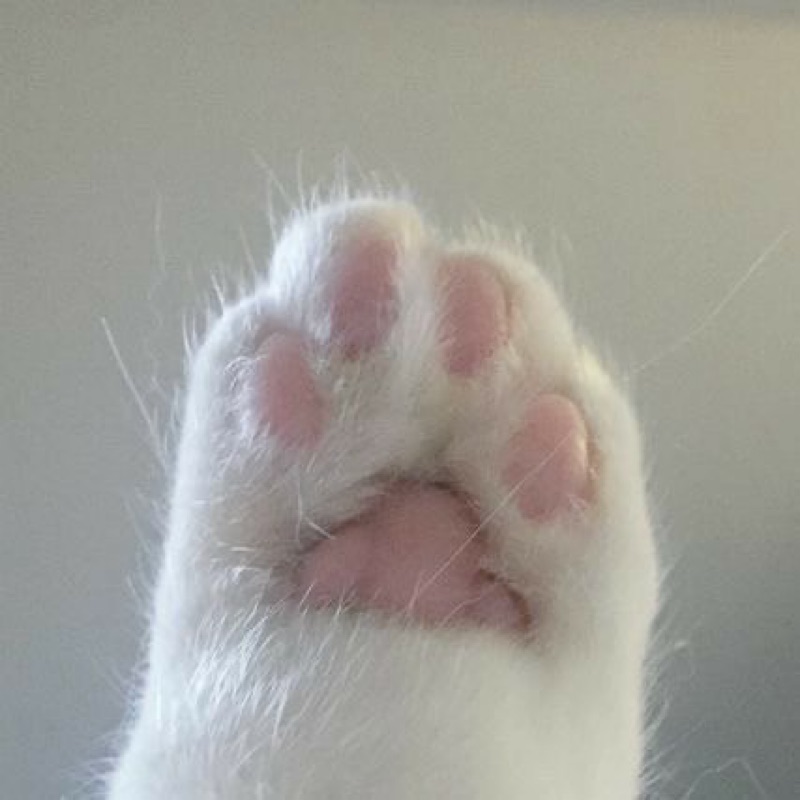 あずま