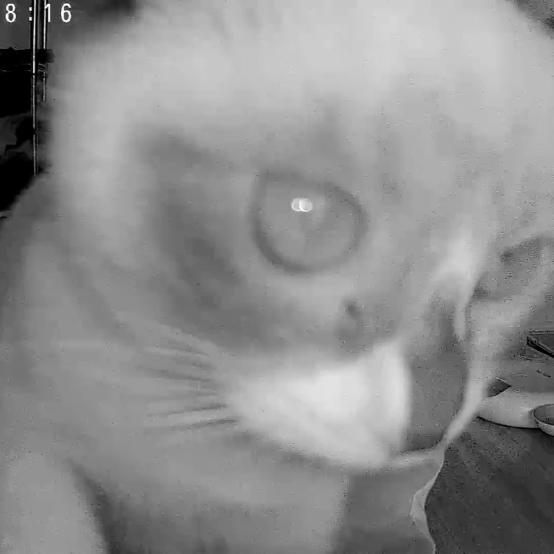 ミナリ