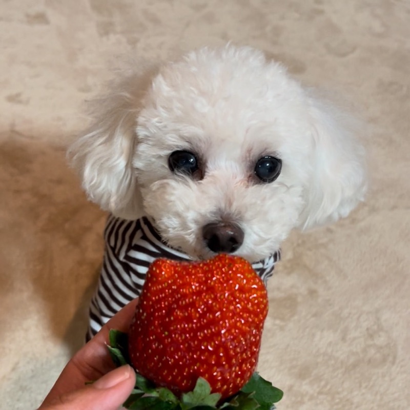 みー