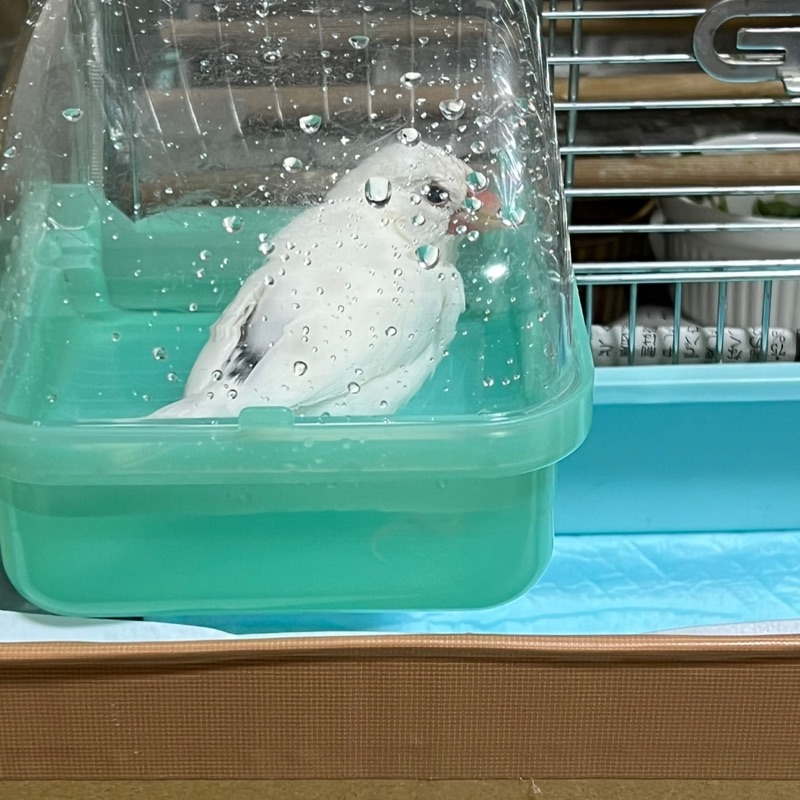 深尾登美子