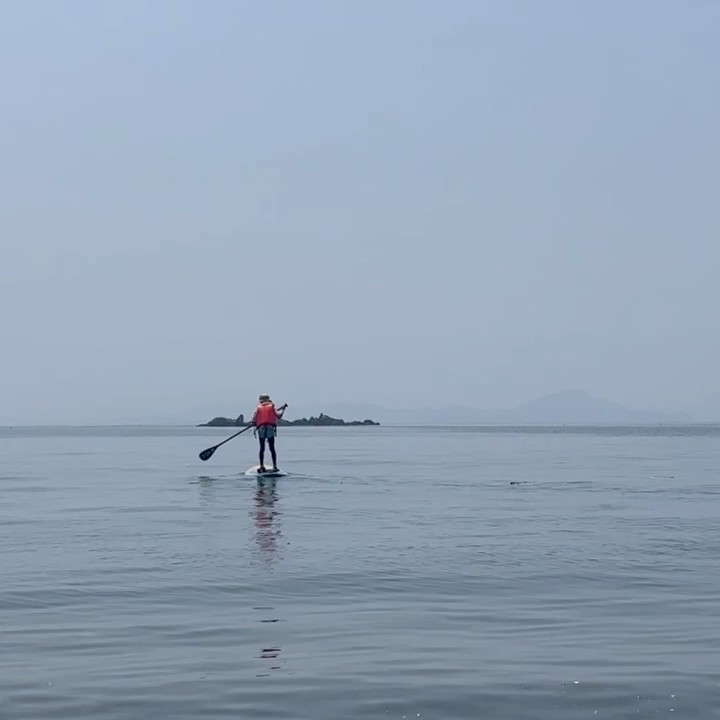 村田恵深
