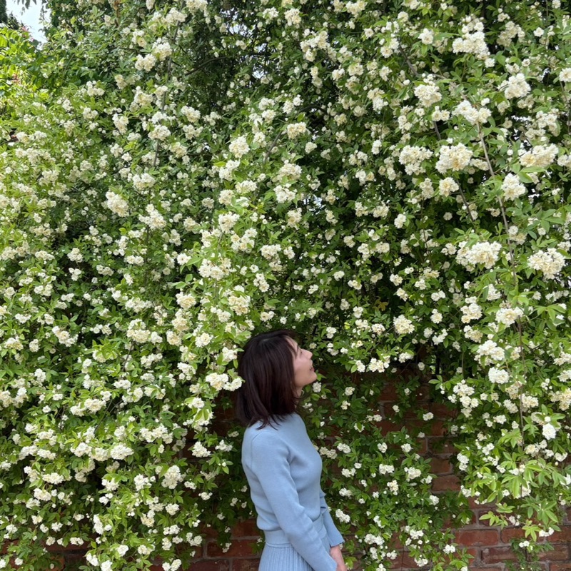 上田典子
