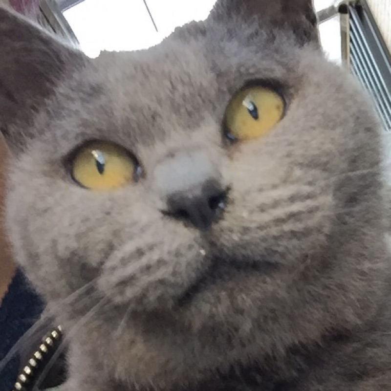 匿名