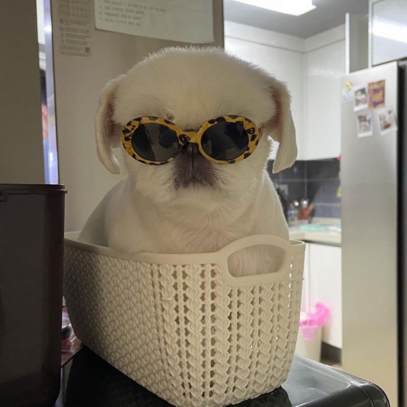 ち