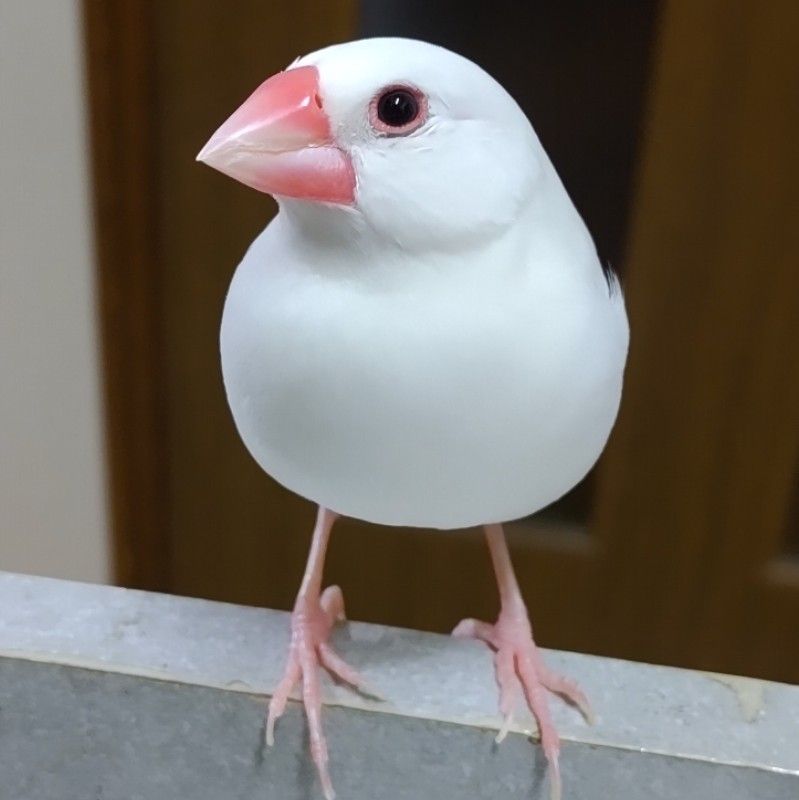 石崎路佳