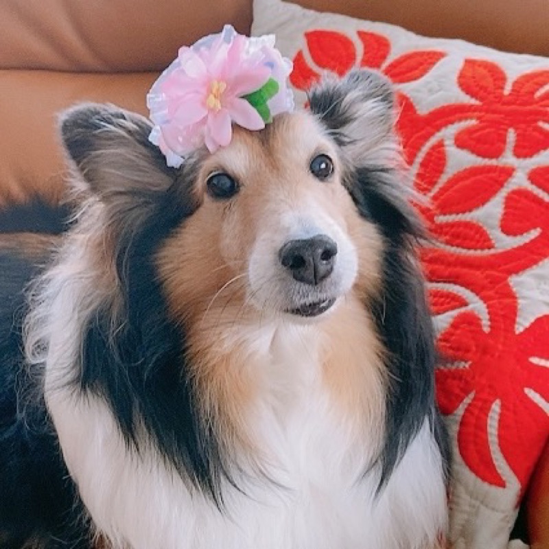 nana