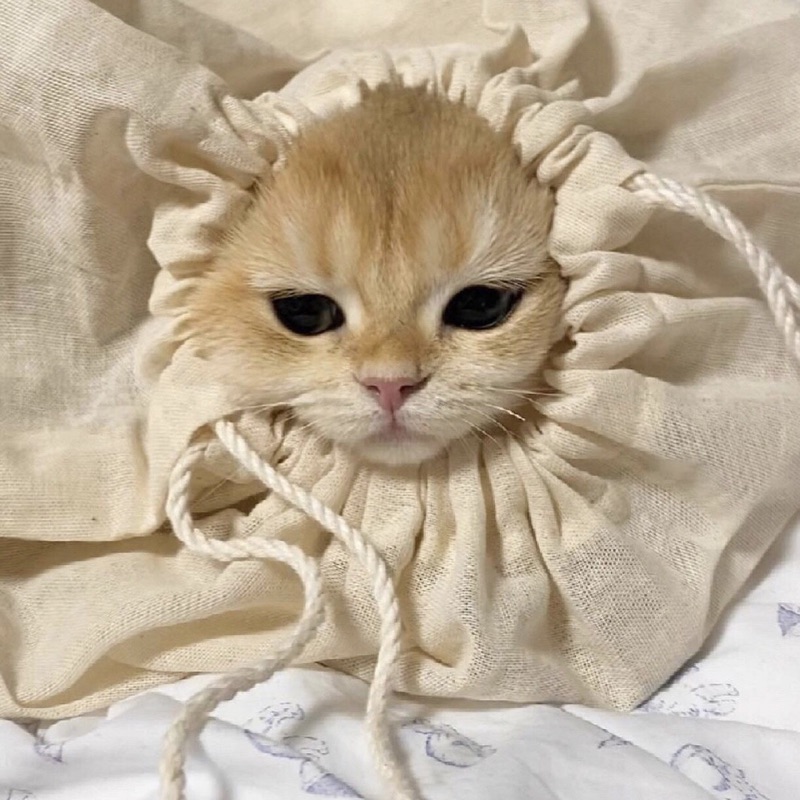 あいか