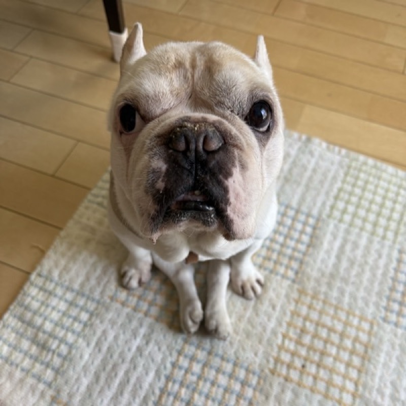 林裕子