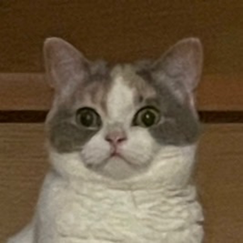 稲毛　あやこ