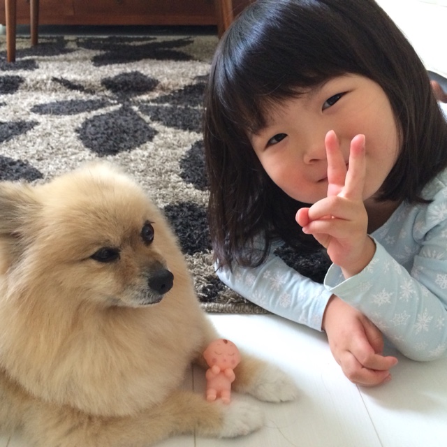 Sachi