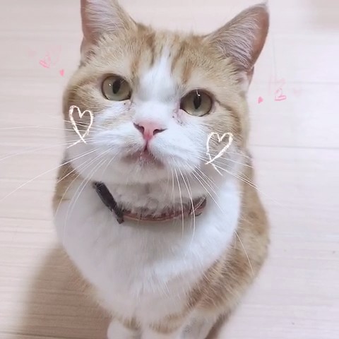 ゆい