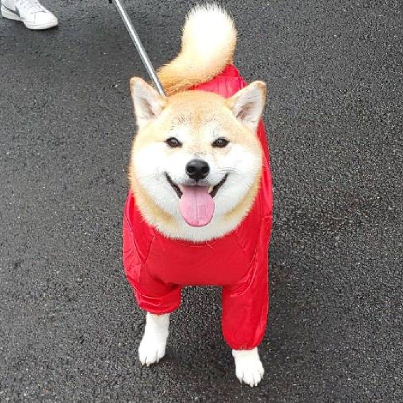 堀田美三子