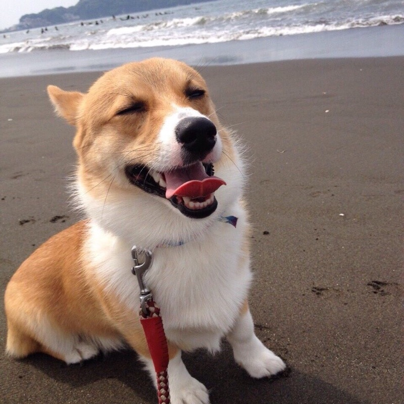 かとう