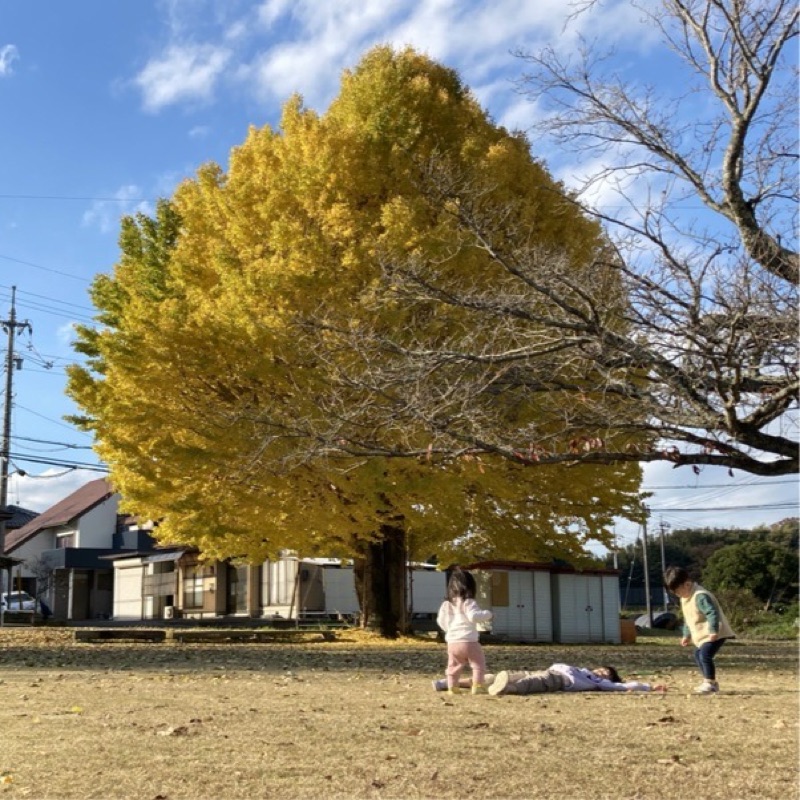 松田 あきこ