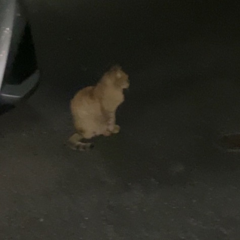 あ