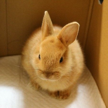 みのり
