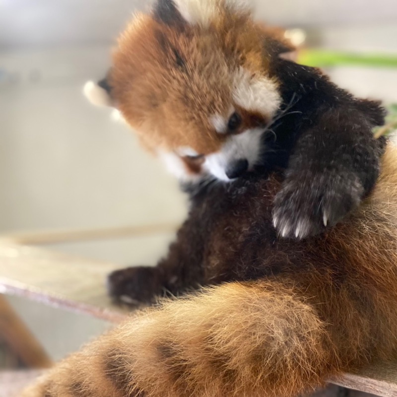 松尾 遼