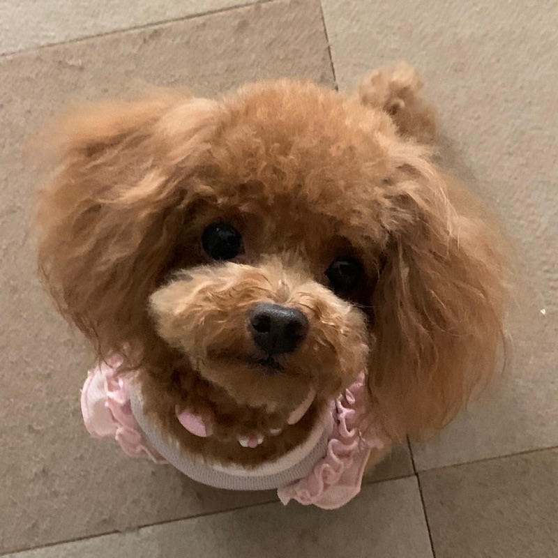 ゆっきー