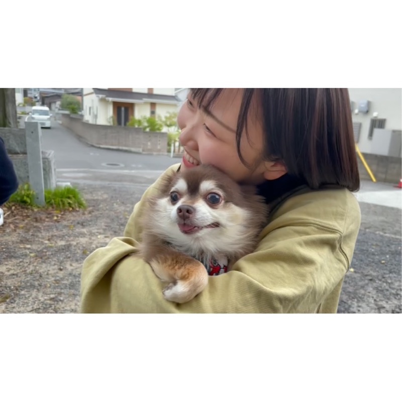 山内のどか