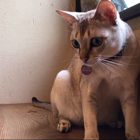 黒田草臣