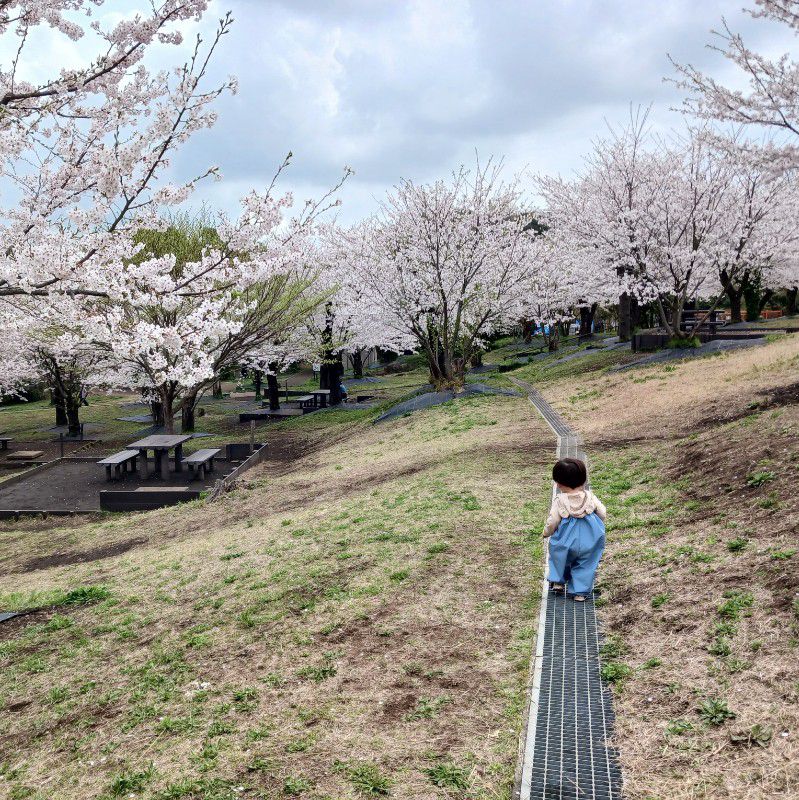 田中
