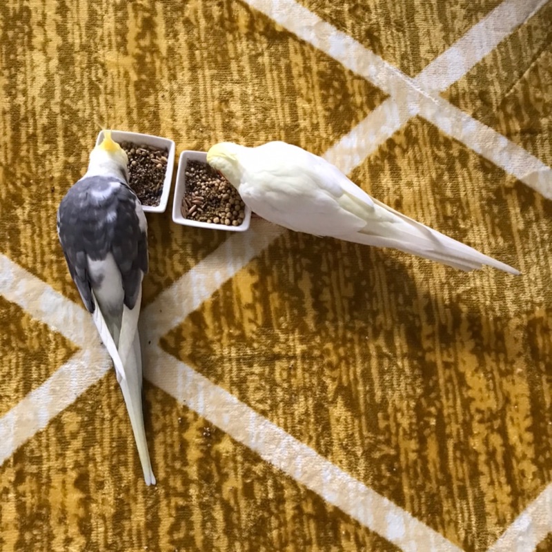 江口晴美
