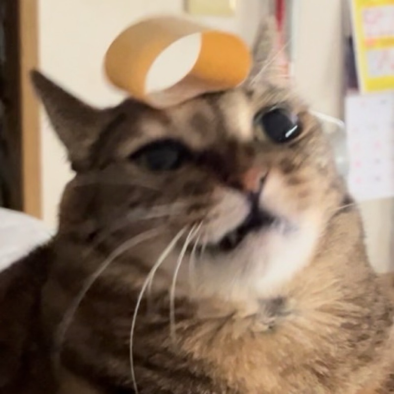 内間　陽菜