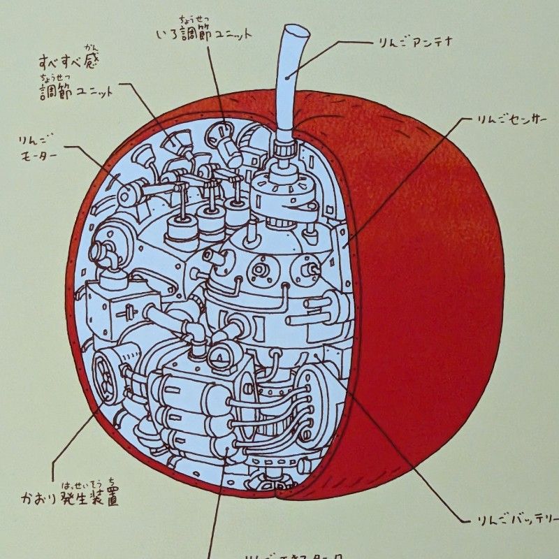 マツモト