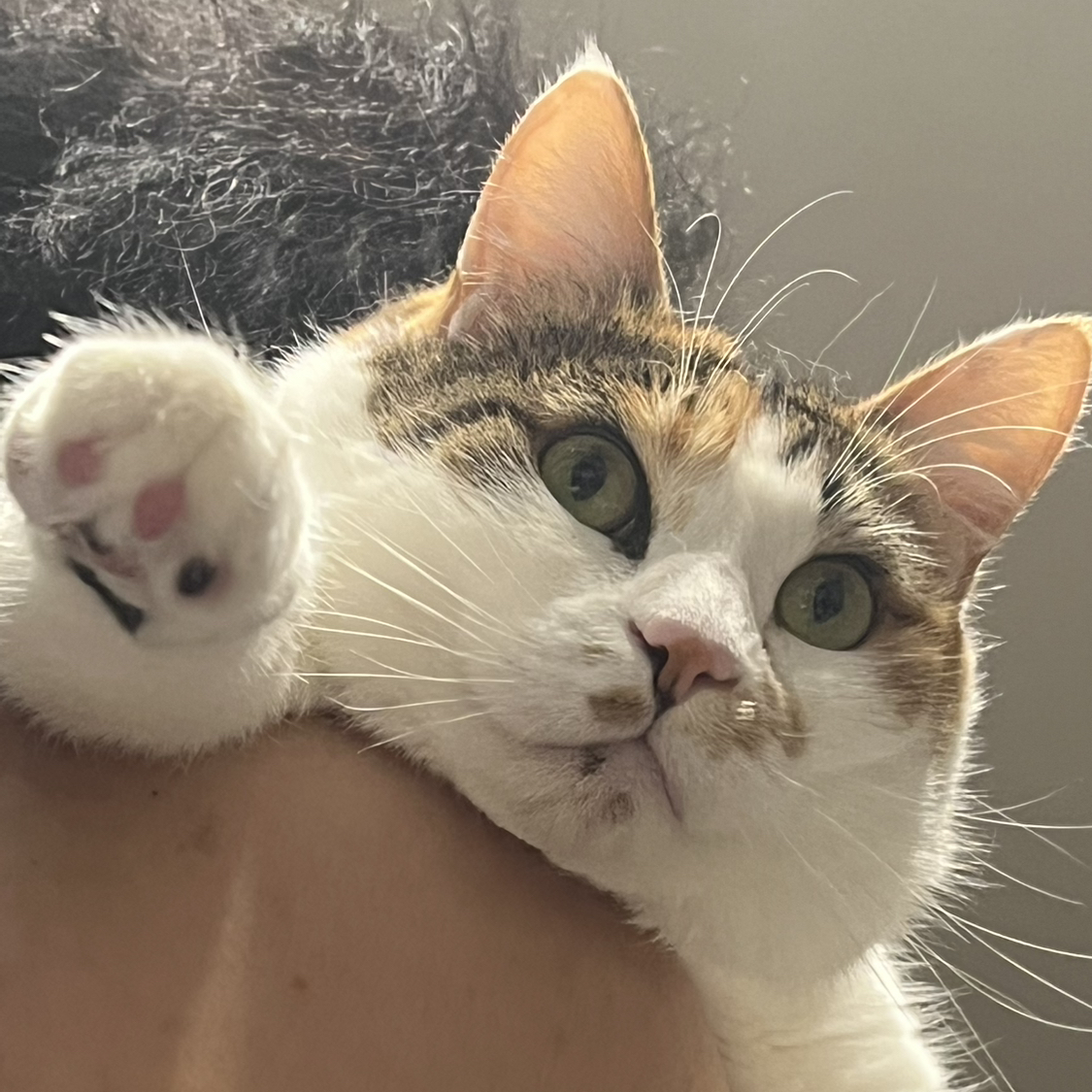 らぶ
